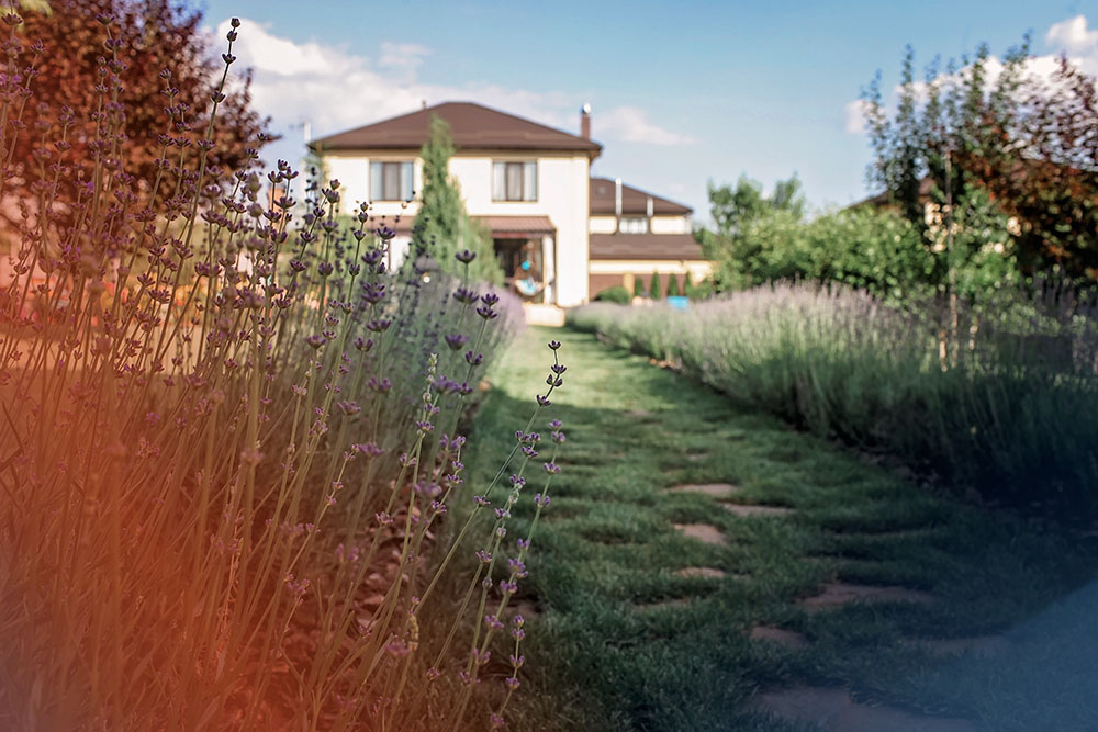 protection autour de la maison